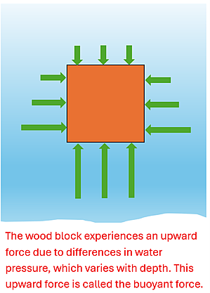 A square wooden block is displayed with green force arrows on all sides.  The top arrows are small, and as the depth increases, the force arrows get larger (the sides of the square have small force arrows at the top and larger ones as it goes to the bottom), and very large force arrows on the bottom pointing upwards.  The text reads that The wood block experiences an upward force due to differences in water pressure, which varies with depth.  This upward force is called the buoyant force.