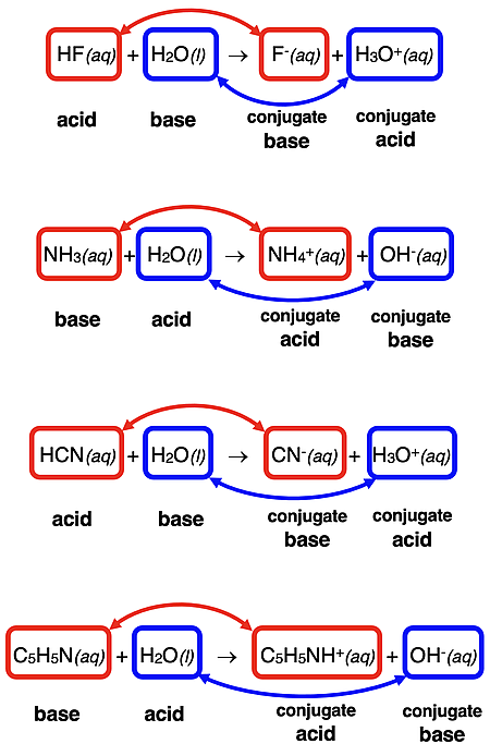 Four examples of acid-base equations, labeling the acid and conjugate base pair and the base and conjugate acid pair