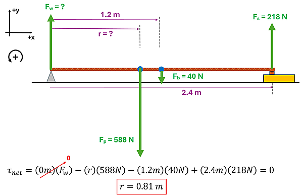 A force diagram is shown for the problem. A picture is shown of a 2.4 meter board with a wedge on the left, and a block on the right.  From left to right, force arrows are drawn.  F sub w (force of wedge) upwards is written with a question mark (unknown).  An unknown r meters from the left is the student's center of mass with a downwards force F sub p equaling 588 newtons.  At 1.2 meters from the wedge is the center of mass for the board providing F sub b = 40 newtons downwards.  Lastly at the end of the meter is the block and scale with a Force F sub s = 218 newtons upwards.  Below this diagram is the equation that if Tau net (Rotational equilibrium) = 0 meters times F sub w (force at wedge which doesn't matter since it's on the pivot and will be 0) minus r times 588 newtons - 1.2 times 40 newtons (the board) plus 2.4 times 218 newtons (scale end).  This should equal 0.  Doing the algebra to isolate r, you get r = 0.81 meters.