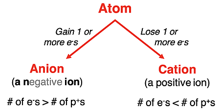 Schematic diagram showing the difference between an anion and a cation in terms of the # of protons and # of electrons