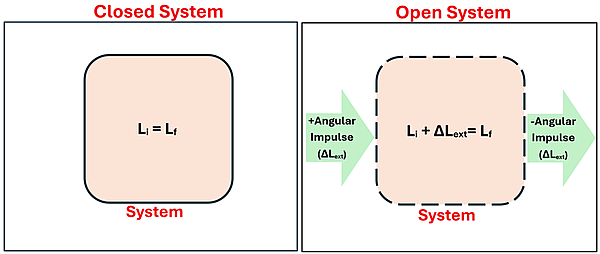 An illustration of a Closed vs. Open System in respect to Angular Momentum initial and final.  The closed system shows a box with L sub i (Initial Angular Momentum) = L sub f (Final Angular Momentum).  The Open System shows a perforated box with a green arrow on the left coming from outside and going into the box with the text + Angular Impulse (Delta L sub ext), an arrow on the right going from the box outwards with the text negative angular impulse (delta L sub ext), and in the box the equation L sub i + Delta L sub ext (Change from external Angular Momentum) = L sub f.