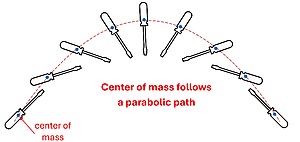 A picture of a screwdriver being thrown with a dot representing the center of mass.  The screwdriver's center of mass is shown following a parabolic path as it flies through the air.