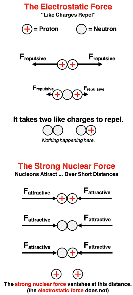 Diagram comparing the strong nuclear force to the electrostatic force in terms of the particles that participate and the effect of distance upon the strength of the force.