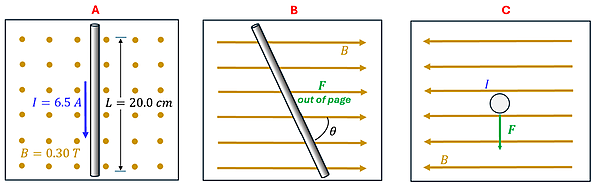 Three pictures of wires.  Picture A is a wire with a current top to bottom of 6.5 amps, length of 20 cm, in a magnetic field going out of the page at 0.30 Tesla.  Picture B shows a 60 cm wire with a current of 2.0 amps at an angle 