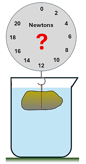 A possibly gold rock attached to a scale, floating in a beaker of water.  There is a question mark on the scale's face indicating and unknown mass.