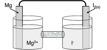 Schematic diagram of a Mg-I2 cell