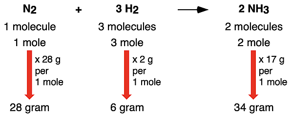 Chemical equation for ammonia synthesis, with molecule, mole, and mass relationships between reactants and products identified.