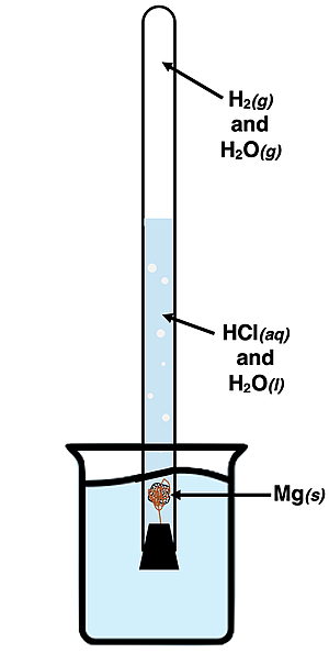 Apparatus for a lab - inverted eudiometer tube for collecting H2 gas from reaction of Mg with aqueous HCl.
