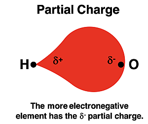 Unequal sharing and partial charges for H-O bond..