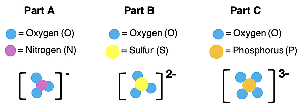 Particle diagrams for three polyatomic ions.