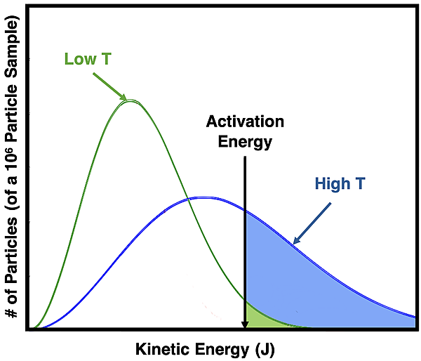 Two Boltzmann energy distribution curves for two different temperatures with a labeled activation energy; particles exceeding activation energy are shaded on the graph.