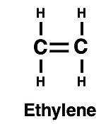 Lewis diagram for ethylene.