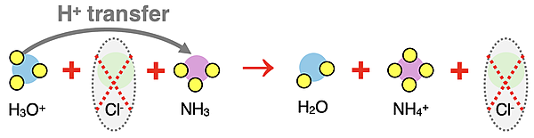 Particle diagram representing complete ionic equation for neutralization reaction of HCl with NH3. Acid, base, water, and salt are labeled; spectator ions are circled.