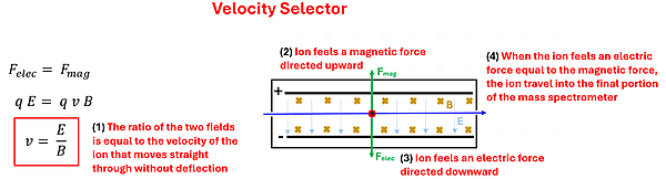 A diagram of the velocity selector, there are both magnetic fields putting a force upwards, and electric forces downwards, and as a particle goes from one end to the other, only if the velocity is such as the upwards and downwards forces equal out (so no net force) do they make it through the tiny opening at the other end.