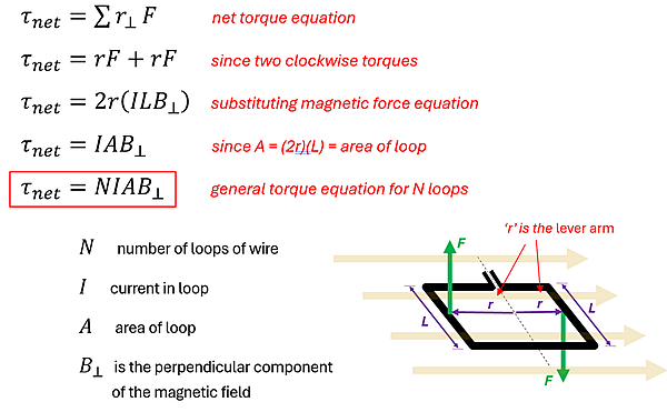 A picture of showing how to get the net torque (T net) equation.  The equation is ultimately T-Net (net Torque) = Number of Loops of wire (N) times Current in Loop (I) times Area of Loop (A) times the Perpendicular Magnetic field (B).
