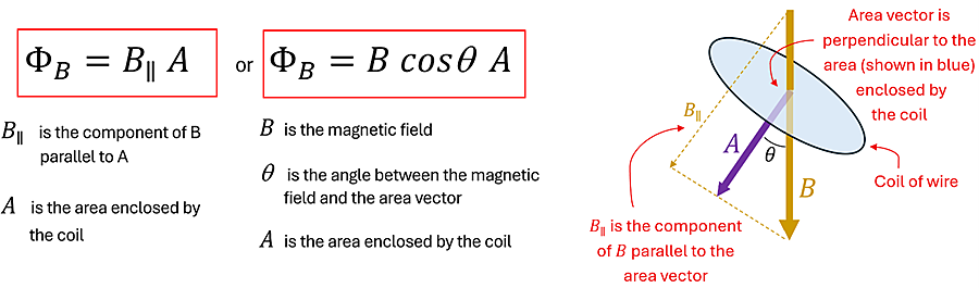A picture showing the two equations for calculating the magnetic flux.  Magnetic Flux = B sub II Time A (where B sub II is the component of B parallel with A), or Magnetic Flux = B cosign Theta times A.  In both A is the area enclosed by the coil.