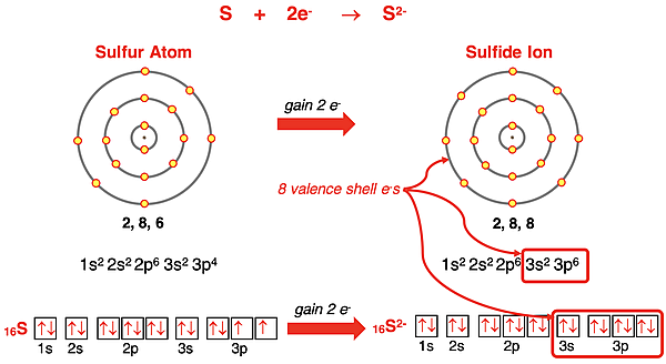 Electron shell diagrams, orbital box diagrams, and electron configurations representing S forming S2- ion.