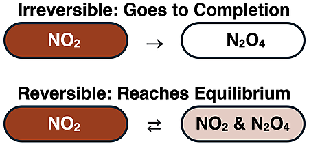 An irreversible reaction usually goes to completion. A reversible reaction reaches equilibrium.