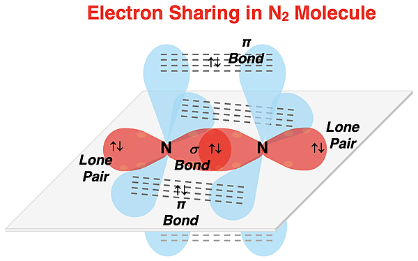 Visual model showing hybridization, sigma overlap and pi bonding overlap in N2.