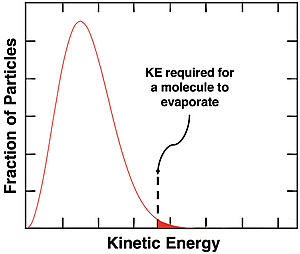 Maxwell-Boltzmann distribution curve showing the fraction of particles with a given kinetic energy. The KE of particles that exceed the energy of vaporization is highlighted.