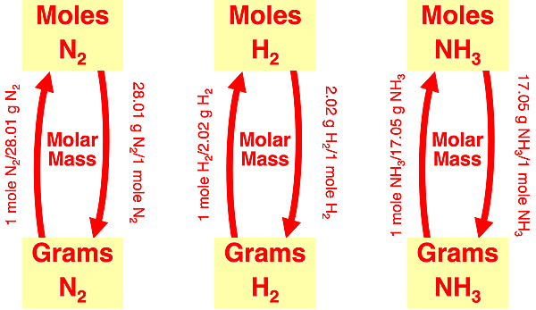 Flow diagram illustrating conversion factors linking moles and grams of a reactant or a product in stoichiometry; specific to ammonia synthesis reaction.