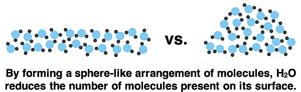 Two sets of particle diagrams of water - spread thinly on a surface and beading up – with captions describing the nature of surface tension.