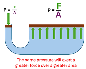 A U shaped tube (that is wider on the right side than left) has a force pushing on the left side with P = F (small) over A (small).  On the right, the area is many times greater, and so is the Force, with the equation P = F (Large) over A (Large).  The same pressure will exert a greater force over a greater area.