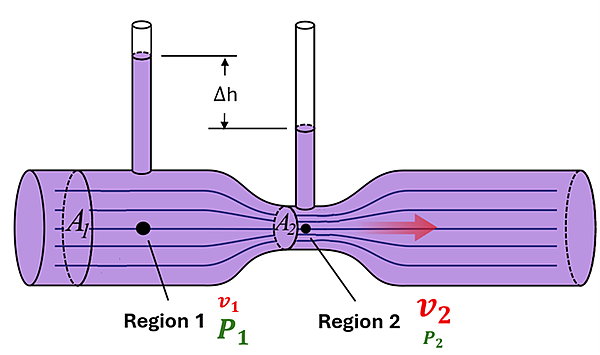 A tube that starts wide (Region 1), narrows (region 2), then widens again is shown.  Region 1 is marked in the center of the cross section, and shows a small v sub 1 and a large P sub 1.  There is a tube directly above it, and it shows a fluid in the tube high.  Region 2 is in the narrow part of the tube, same height as region 1, and has a large V sub 2 and a small P sub 2, and a smaller cross sectional area.  A tube is directly above it, but the fluid is not as high as the other tube.  There is height difference in the tubes of delta h.