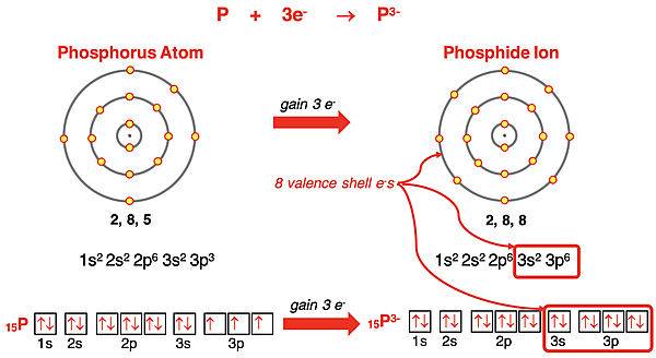 Electron shell diagrams, orbital box diagrams, and electron configurations representing P forming P3- ion.