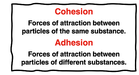 Two definitions contrasting the meaning of cohesion and adhesion.