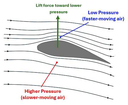 A side view of an airplane's wing foil is shown, which has a taller 'hump' on the top than the bottom, and a curved back.  Wind Streamlines are drawn, showing that the air over the top has to travel farther (and faster) than the air on the bottom, this creates a low pressure (faster moving air) on the top and a higher pressure (slower-moving air) on the bottom, which creates a left force towards the lower pressure (indicated by a green force arrow up).