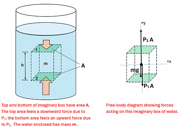 Two illustrations are shown of a container (a rectangular prism h height, with surface area labeled A (area), with a mass labeled m.  In the left illustration the object is within a cylinder of water, and there is a small force arrow pushing down on the top face, and a larger force arrow pushing up on the bottom of the bottom face.  The text reads Top and bottom of imaginary box have area A.  The top area feels a downward force due to P1 (pressure on top surface area labeled 1) and the bottom area feels an upward force due to P2 (Pressure on bottom surface labeled 2).  The water enclosed has mass m.  To the right of this illustration a force diagram is given for our imaginary box.  From the box's center of mass, an upward force arrow P2 A is pointing up, then there is a downward mg force (force of gravity, mass times g) and another downward force P1 A.  The free-body diagram showing forces acting on this imaginary box of water.