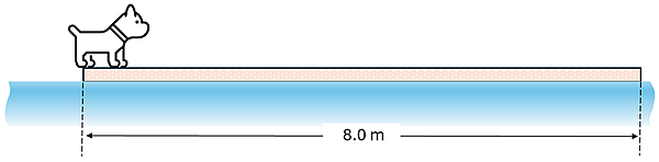 A 6 kg dog is standing on the left hand side of a 8 meter long 14 kg board.