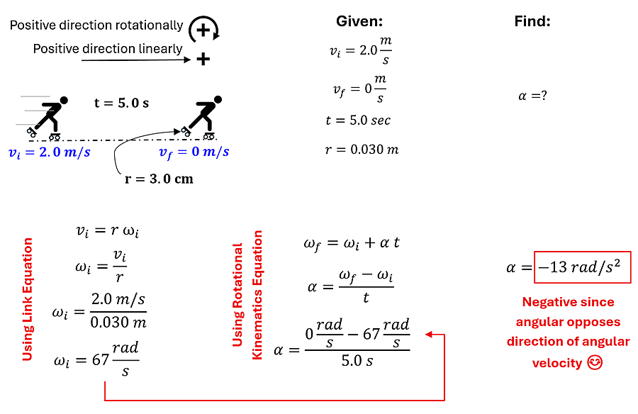 The solution to Check Understanding shown in 5 parts.  First part visually shows a person on skates moving with a velocity of 2 meters per second on one side, and 0 meters per second on the other, with t = 5 seconds and r = 3 cm (or 0.03 meters).  The given is the velocity initial, velocity final, time, and radius where the find is alpha (angular velocity).  The 3rd section shows the linking equations to convert velocity initial and final into angular velocity initial and final by taking the values and dividing them by the radius (0.03 meters), this gives us an initial angular velocity of 67 rad per second and final angular velocity of 0.  The Fourth second we find the equation to find alpha (angular velocity), which will be omega sub f (final angular velocity) = omega sub i (initial angular velocity) plus alpha (angular acceleration) times t (time).  Plugging in values and solving we get alpha (angular acceleration) = -13 rad per second squared (negative since it's opposing the direction of angular velocity).