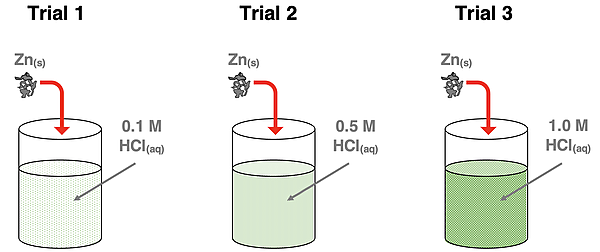 Three beakers having varying concentrations of HCl for a reaction trial in which mossy Zn is reacted with the acid.
