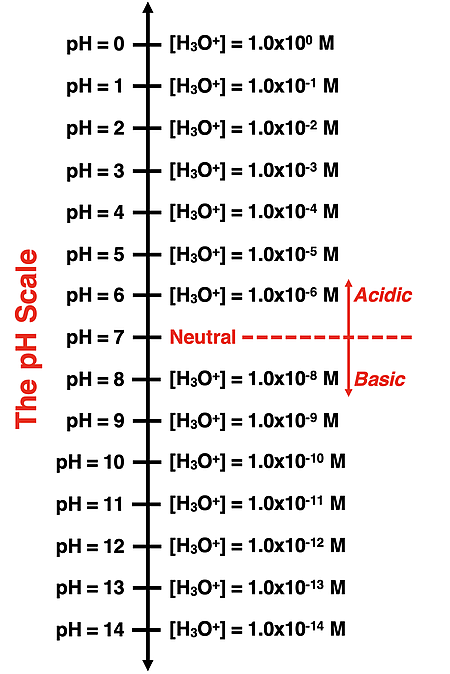 pH Scale with hydronium ion concentrations.