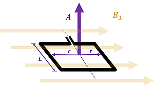 An image showing a magnetic field going to the right marked B sub perpendicular.  A loop of wire is shown aligning itself with the magnetic field (laying 'flat'), with the Area shown as the L length and the radius twice (width), with an area vector A pointing upwards (perpendicular to the entire area)