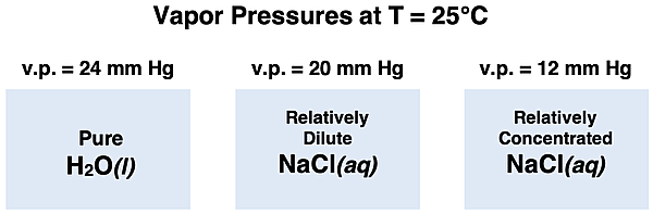 Three diagrams contrasting the vapor pressure of a pure solvent, a dilute solution, and a concentrated solution.
