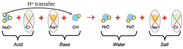 Particle diagram representing complete ionic equation for neutralization reaction of HCl with NaOH. Acid, base, water, and salt are labeled; spectator ions are circled.