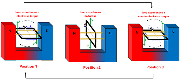 A diagram of 3 positions of the Wire Coil with a constant current direction.  Position 1 shows it perpendicular to the North/South poles and gets a clockwise torque.  Position 2 the wire will experience forces in all outwards directions, resulting in no torque force.  Position 3 will show a counter clockwise torque force, which will try to send it back to position 2 instead of continuing rotation.