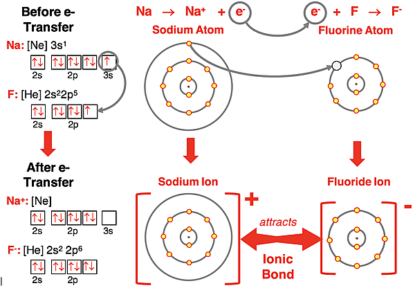 Electron shell and orbital box diagrams and e- configurations showing why Na and F satisfy the octet rule by forming an ionic bond.
