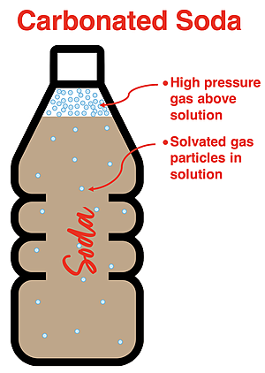 Diagram of carbonated soda showing the effect of increased pressure on the amount of gas that dissolves in water.