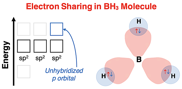 Energy level diagram and 3D spatial model showing orbital overlap and electron sharing in BH3.