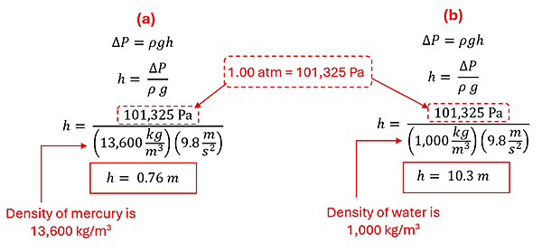 For both parts A and B, we start with Delta P (change in Pressure) = rho g h.  Using algebra we get h = Delta P over the product of rho g.  1 Atmosphere is 101325 pascals, so that is plugged in, as well as 9.8 for gravity.  For part A we have 13600 kg per cubic meter for rho (the density of mercury) to get a height of 0.76 meters.  For part B we add 1000 kg per cubic meter for rho (density of water) to get a required height of 10.3 meters.