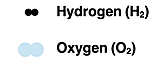 Particle diagrams for H2 and O2.