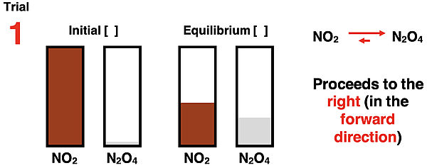 Bar charts showing initial reactant and product concentrations and equilibrium reactant and product concentrations for the 2 NO2  N2O4 system.